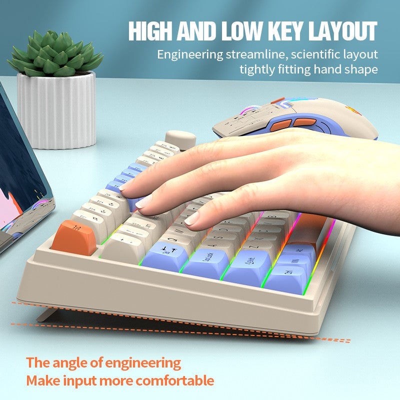 Kit Teclado e Mouse Ergonômicos com Tela, RGB e Precisão 1600DPI