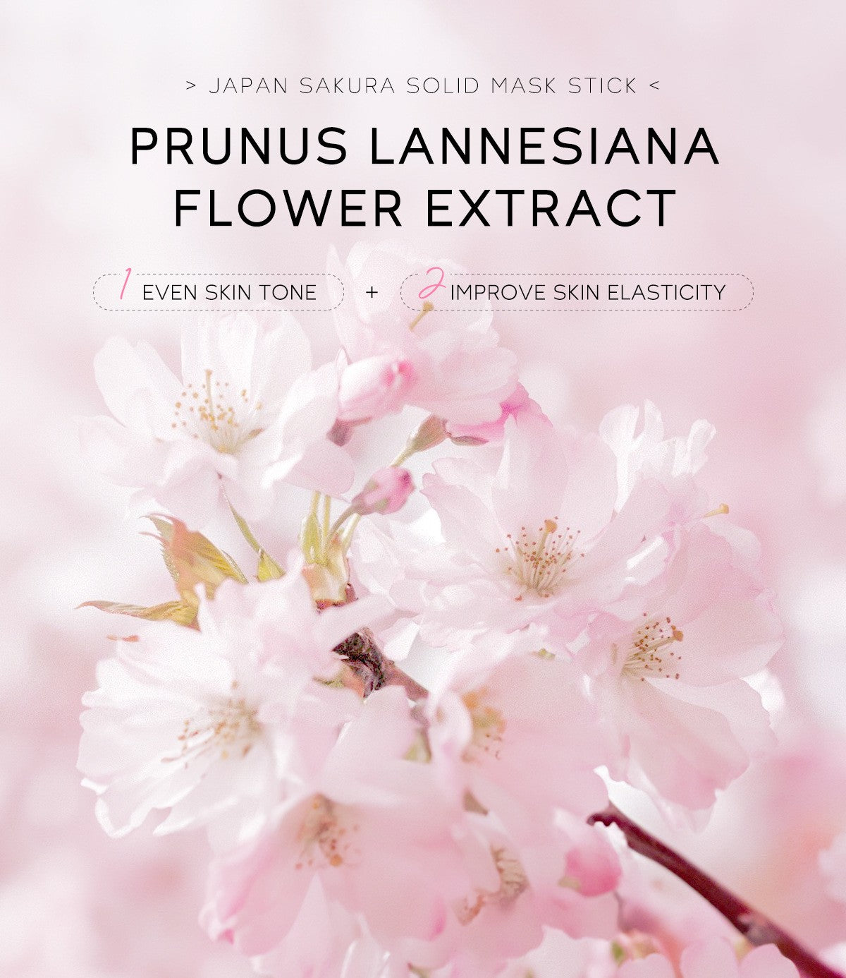 Bastão de Máscara Sólida Sakura LAIKOU — 40g